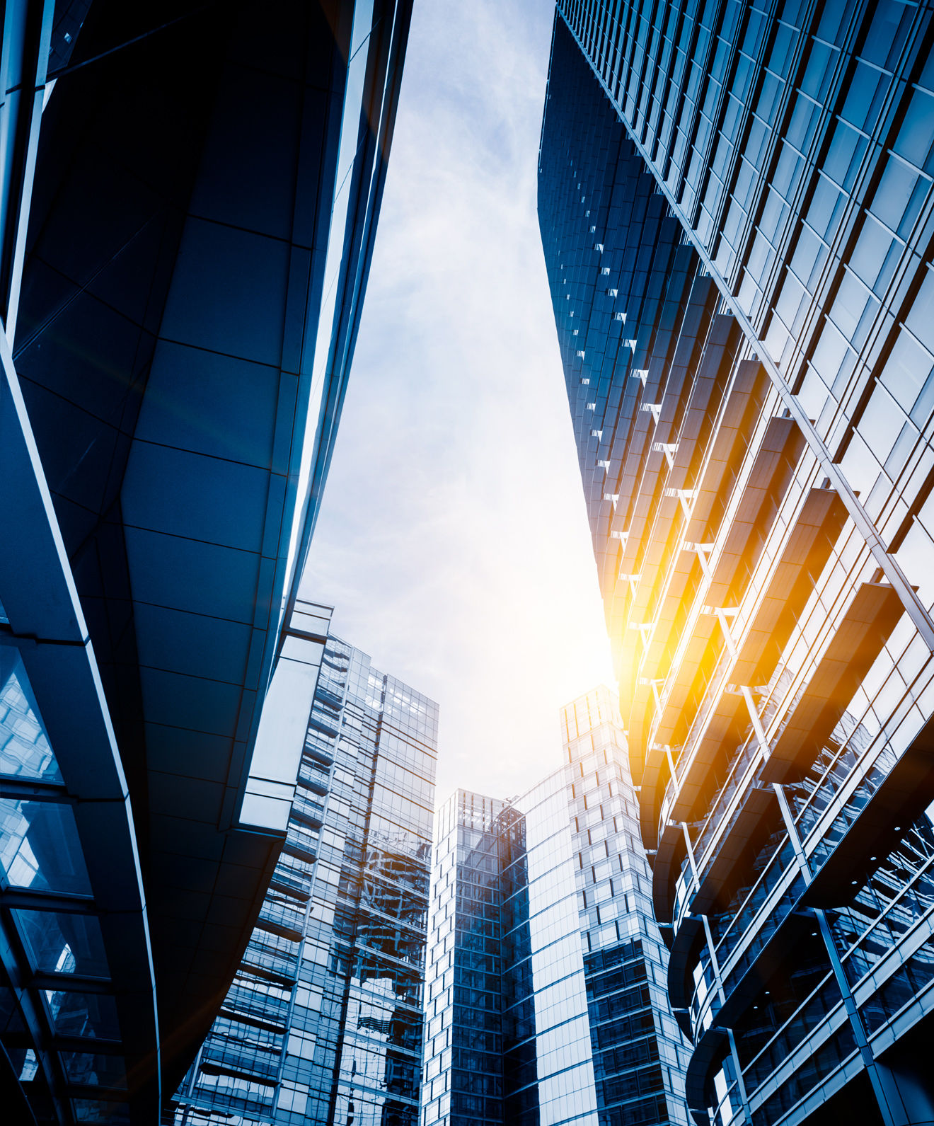 Aliquam vitae (Demo)